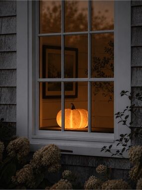 Sculptural Pumpkin Light Fixture | Hardwired Installation | Solar-Capable | NIB